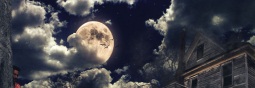 Sibers-news-images
